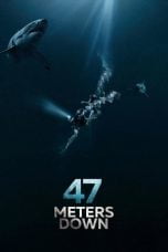 Download 47 Meters Down (2017) Bluray 720p 1080p Subtitle Indonesia